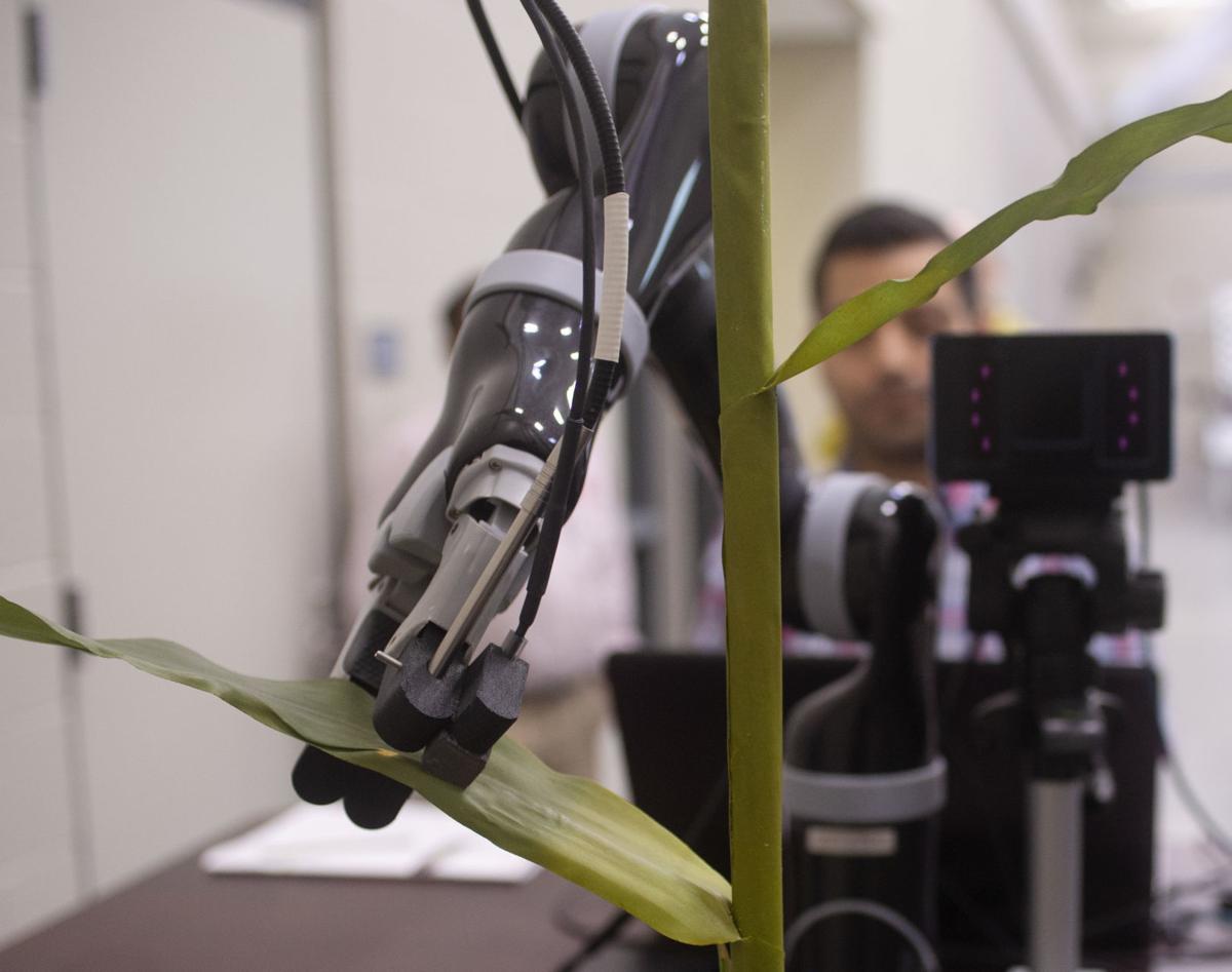 Robots in the cornfield? UNL team believes it’s the next big thing