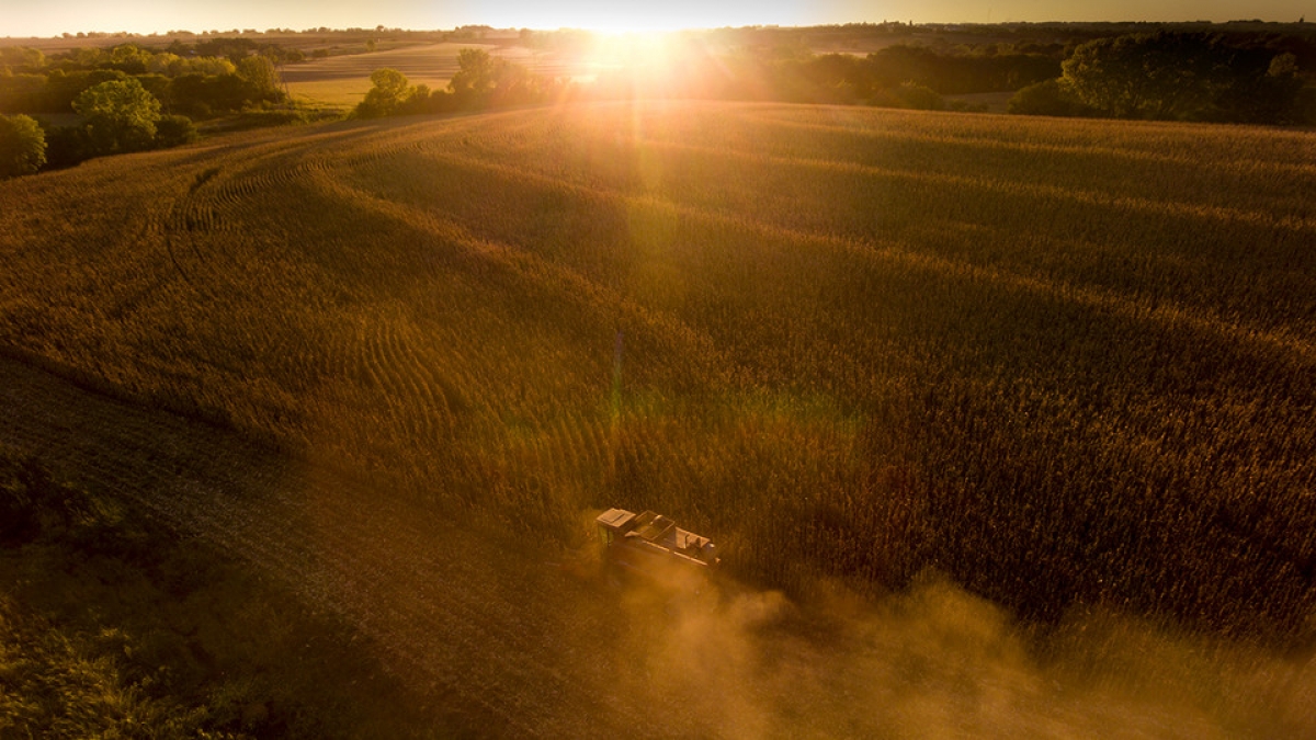 Study: Climate effects on ag yields vary by location, crop