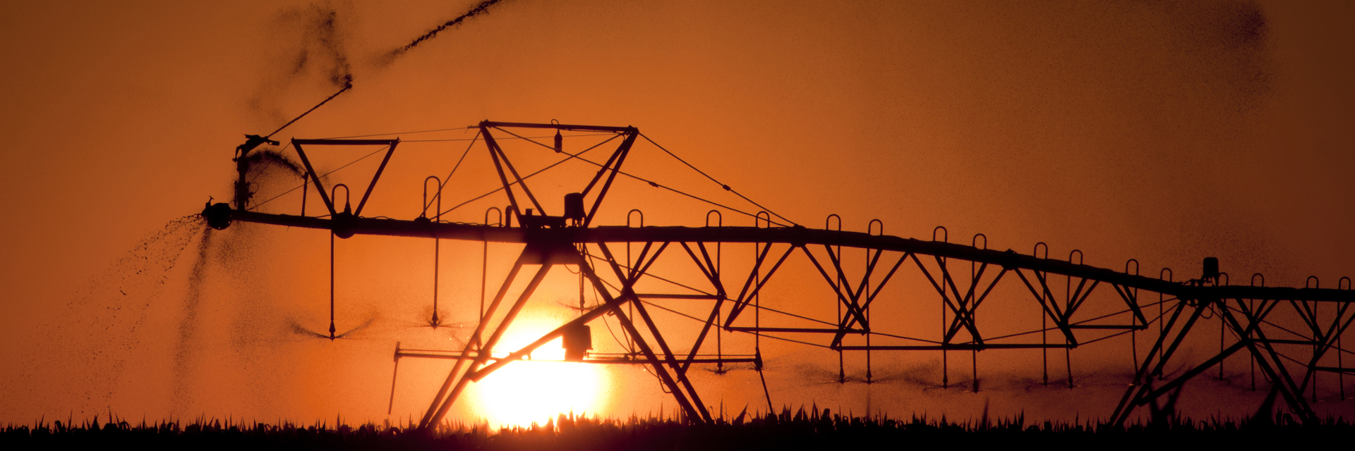 center pivot in a field with at dawn