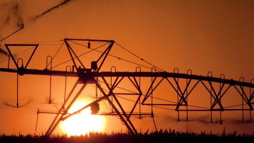 center pivot in a field with at dawn