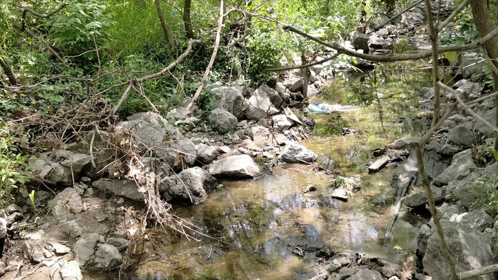 Nebraska creek
