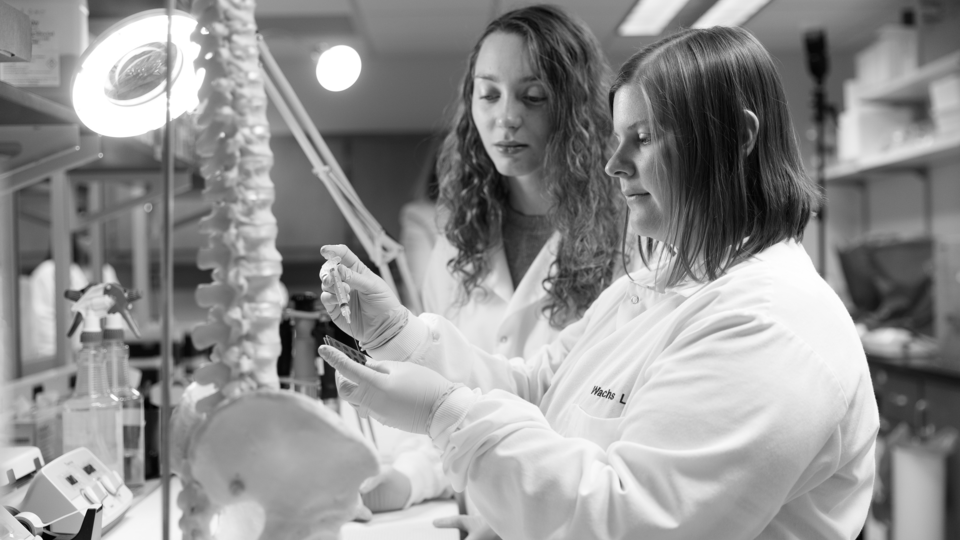 Wachs Lab