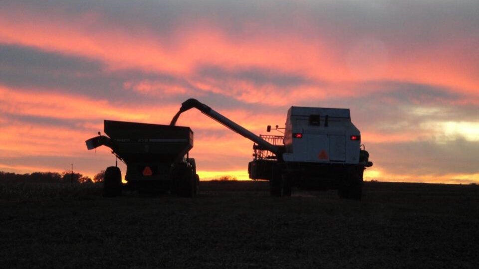 Harvest at Dusk: Combines Work into the Night