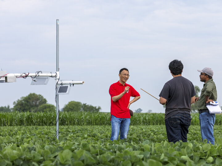 three people in a soybean field with a sensors in the middle of the field