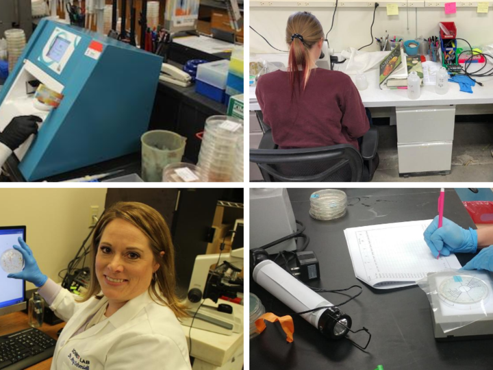 Laboratory scenes depicting scientists conducting experiments and analyzing data using various equipment and instruments across different research settings.