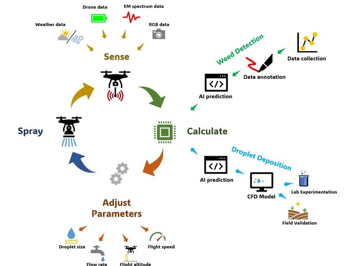 Graphic displaying Intelligent Spraying Drone process