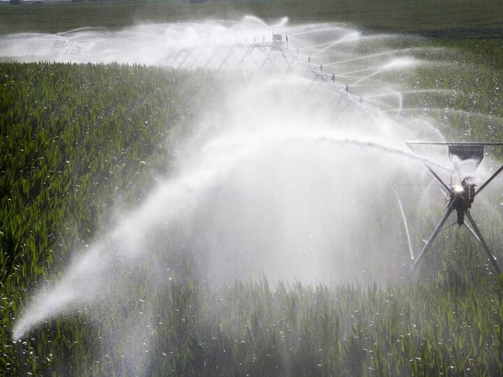 center pivot in a corn field