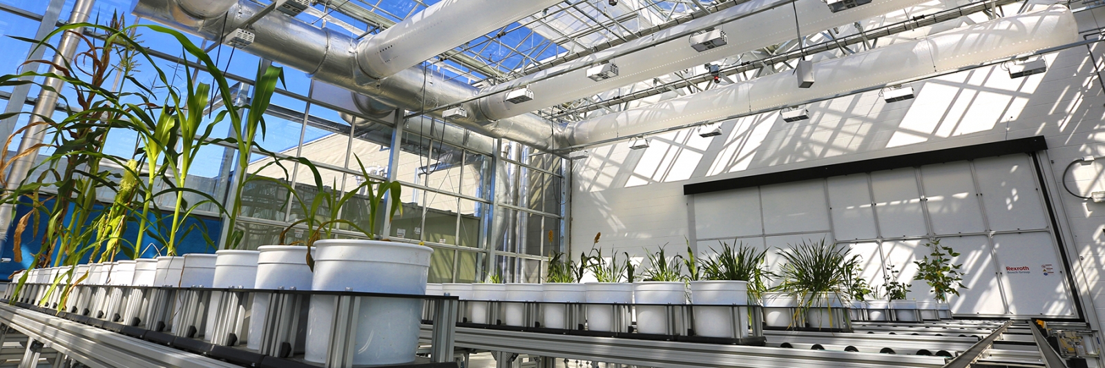 NIC greenhouse